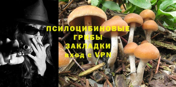 герыч Алексин
